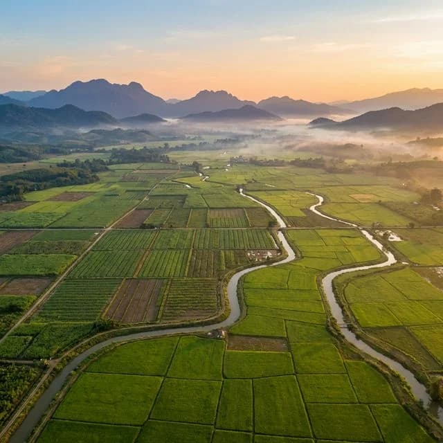 ກະສິກຳ ແລະ ປູກຝັງທັນສະໄໝ